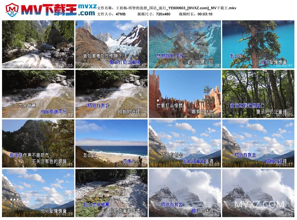 王初杨-明智的选择_国语_流行_YE600603